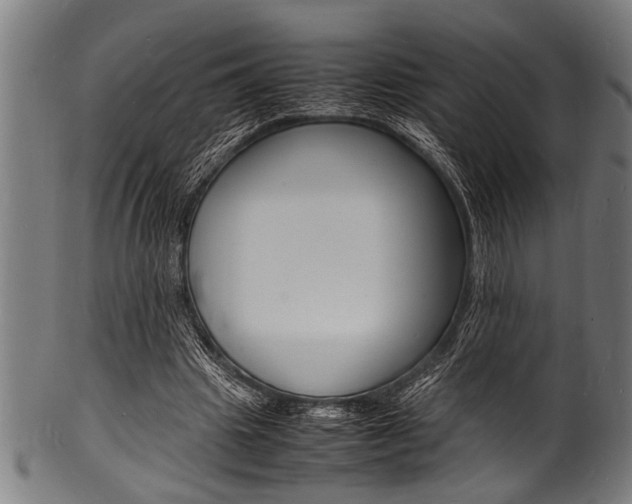 X0000100980441200806241152