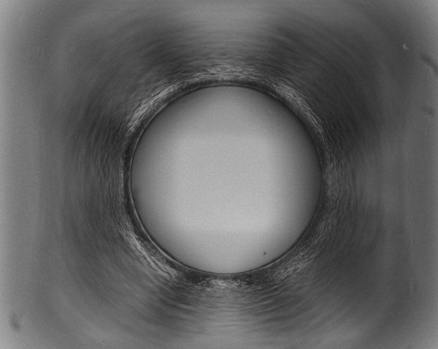 X0000100980442200806241152