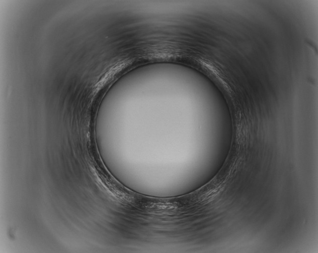 X0000100980443200806241152