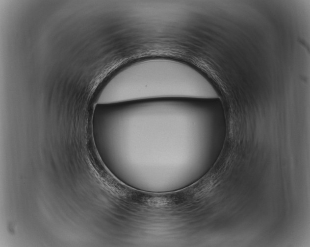 X0000100980444200806241152