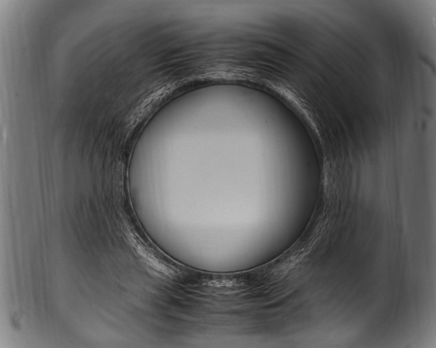 X0000100980445200806241152