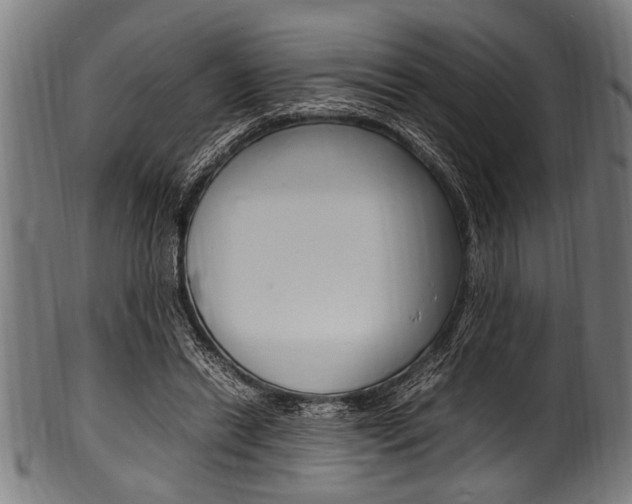 X0000100980446200806241152