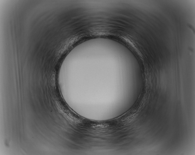 X0000100980447200806241152