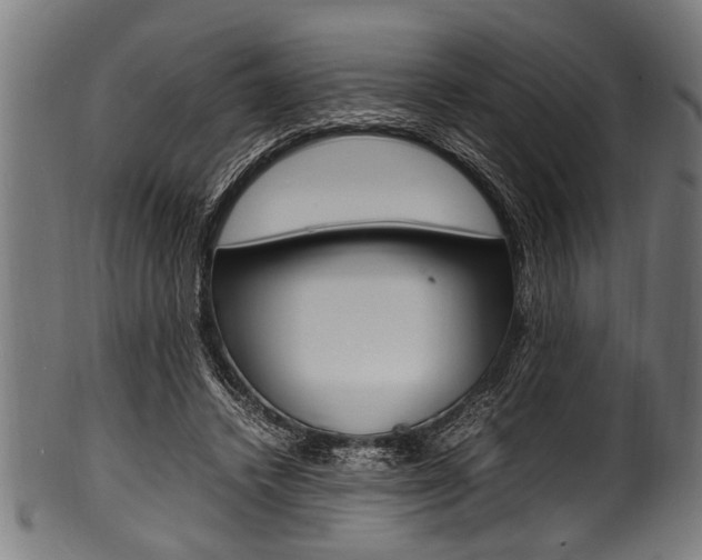 X0000100980448200806241152