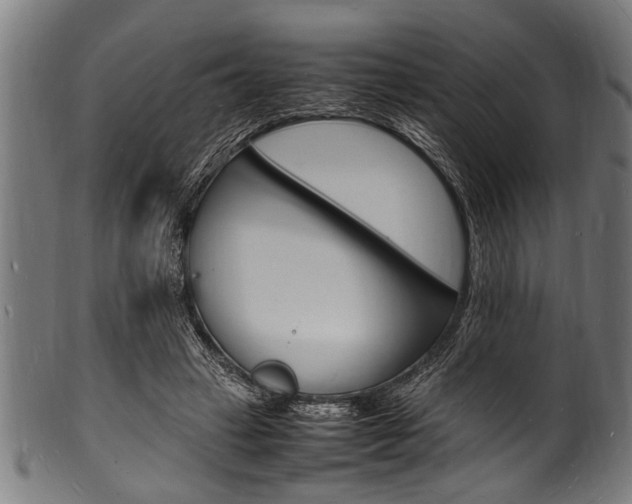 X0000100980449200806241152