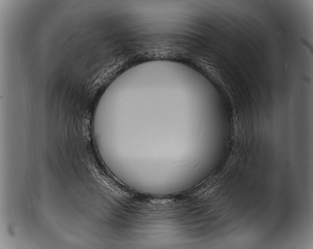 X0000100980450200806241152