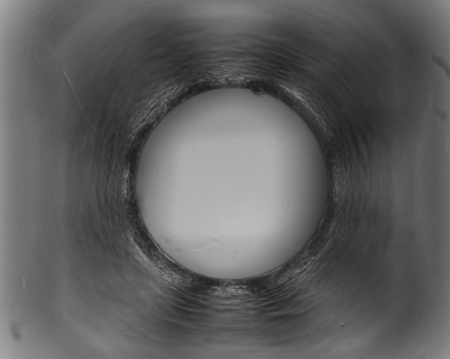X0000100980451200806241152