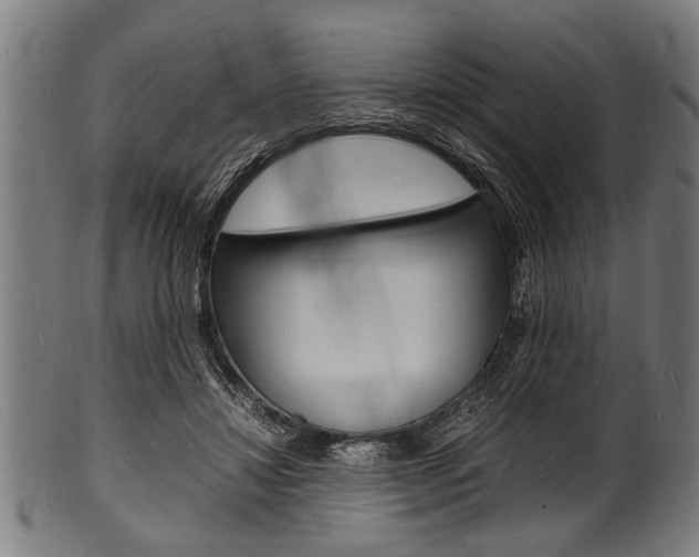 X0000100980452200806241152