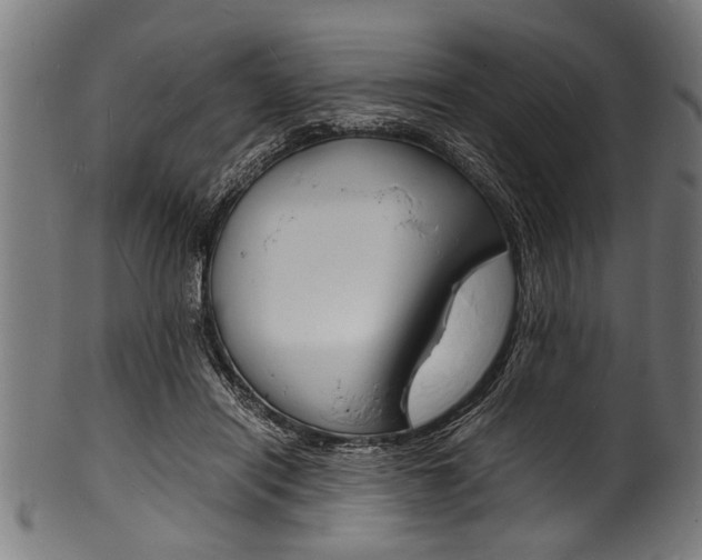 X0000100980454200806241152