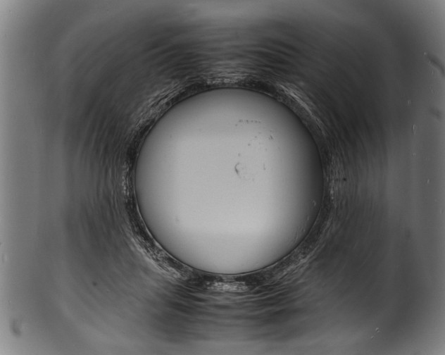 X0000100980455200806241152
