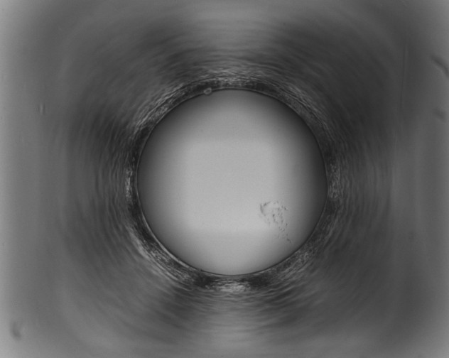 X0000100980456200806241152