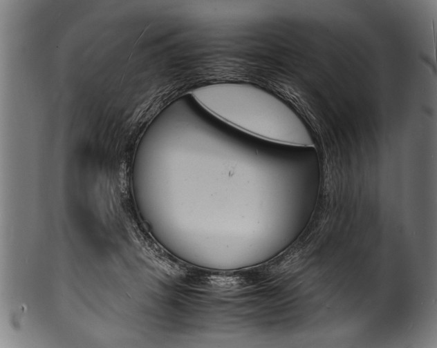 X0000100980457200806241152