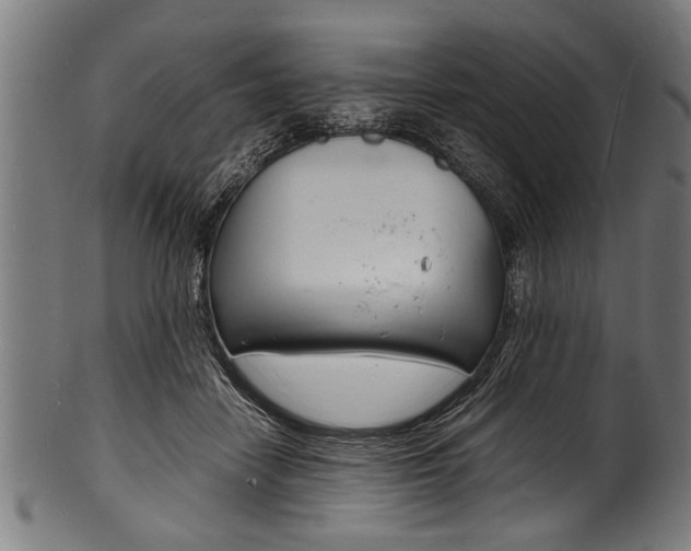 X0000100980458200806241152