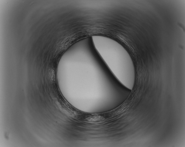X0000100980459200806241152