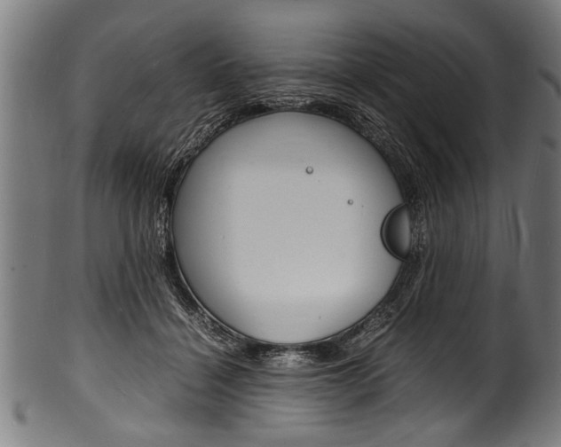 X0000100980460200806241152