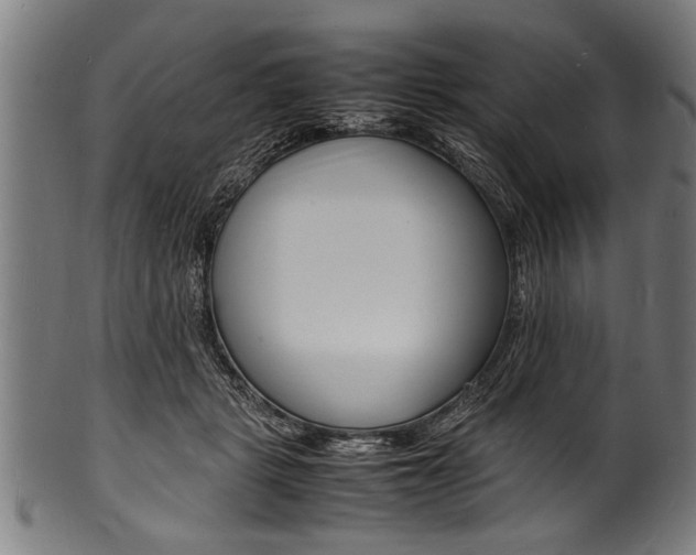 X0000100980461200806241152
