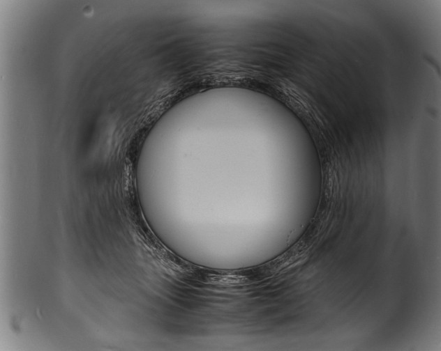 X0000100980463200806241152
