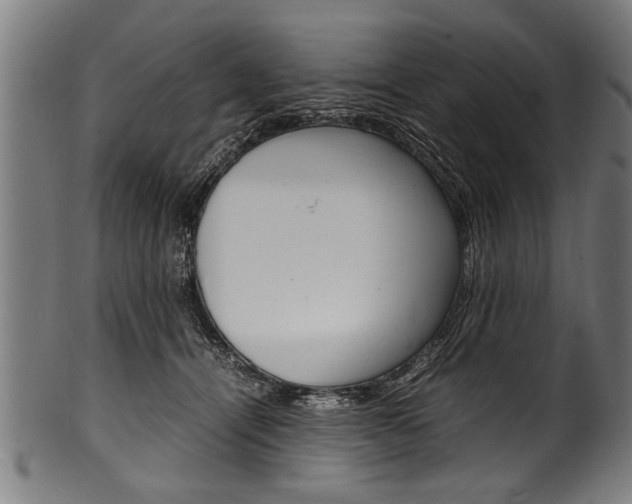 X0000100980464200806241152