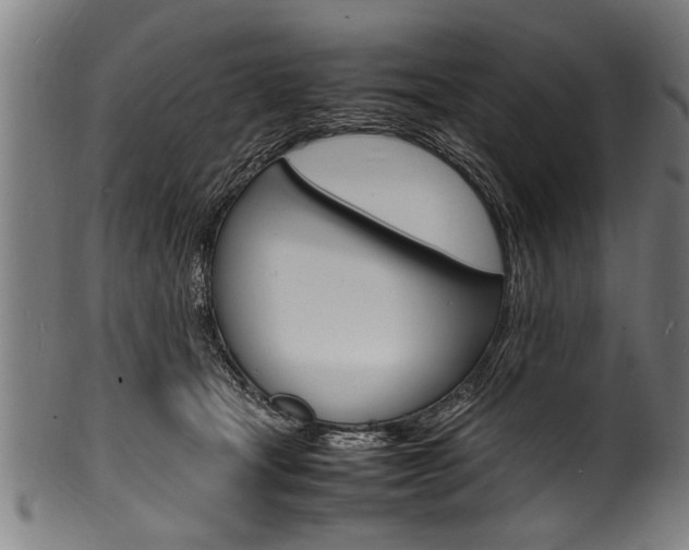 X0000100980465200806241152
