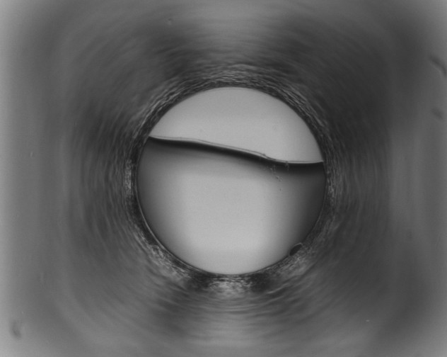 X0000100980466200806241152