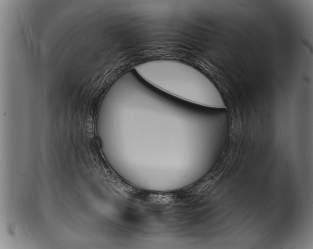 X0000100980469200806241152