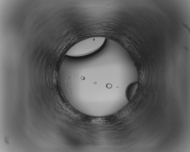 X0000100980470200806241152