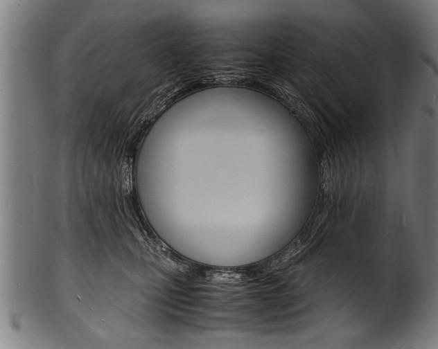 X0000100980471200806241152