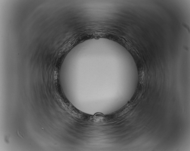 X0000100980472200806241152
