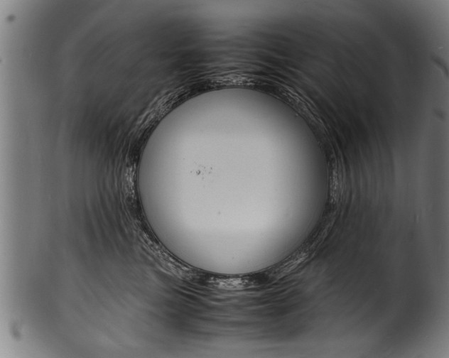 X0000100980473200806241152