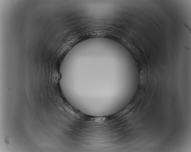 X0000100980474200806241152