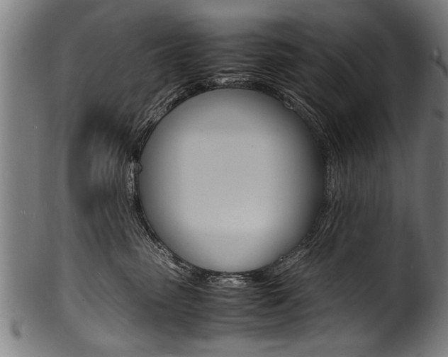 X0000100980475200806241152