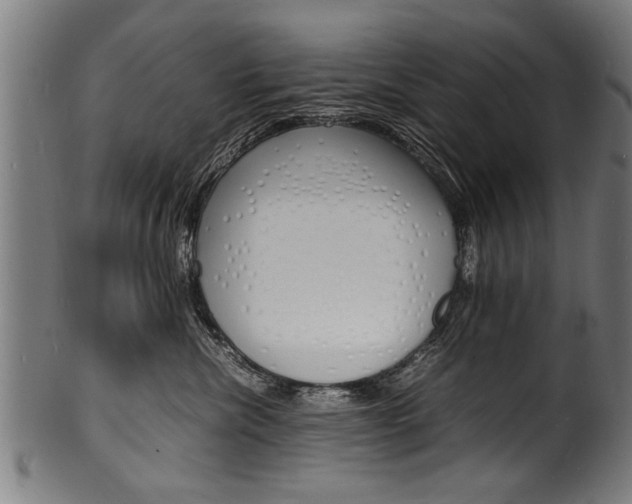 X0000100980476200806241152