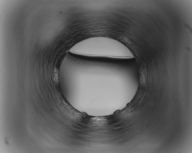 X0000100980477200806241152