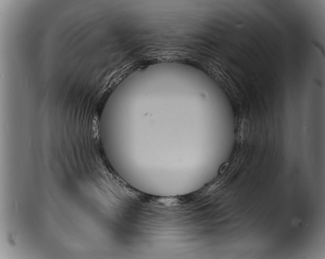 X0000100980478200806241152