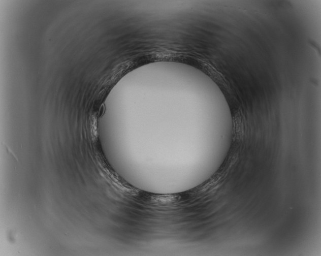 X0000100980479200806241152