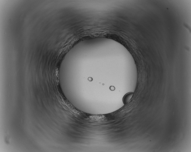 X0000100980480200806241152