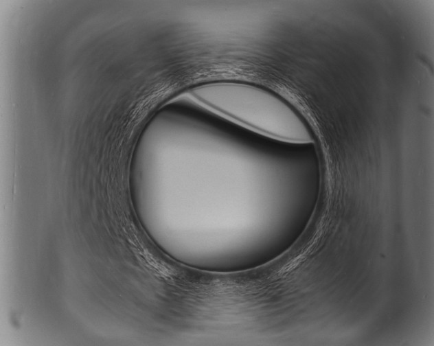 X0000100980481200806241152