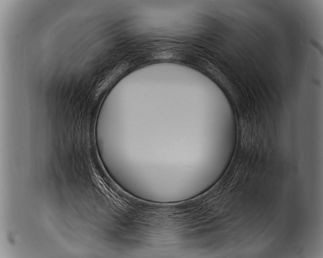 X0000100980482200806241152
