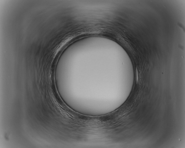 X0000100980483200806241152