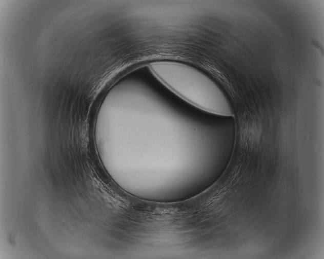 X0000100980484200806241152
