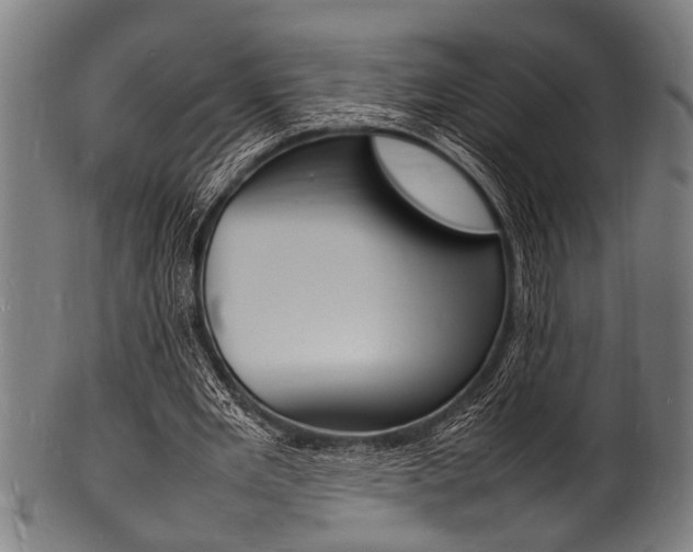 X0000100980485200806241152