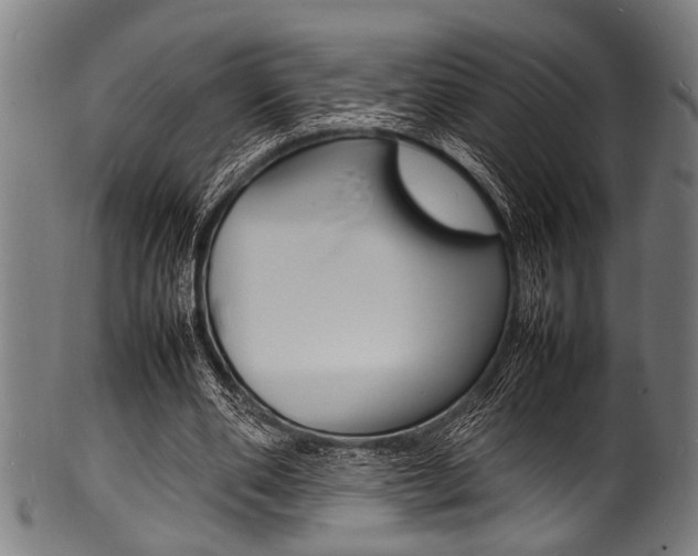 X0000100980486200806241152