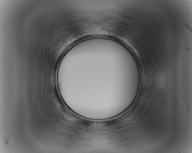 X0000100980487200806241152