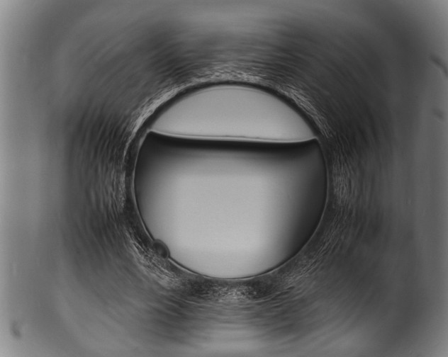X0000100980488200806241152