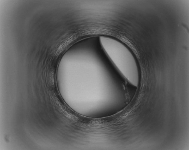 X0000100980489200806241152