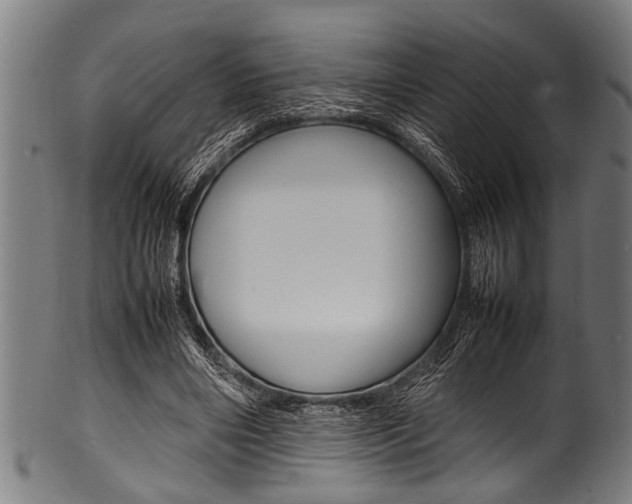 X0000100980490200806241152