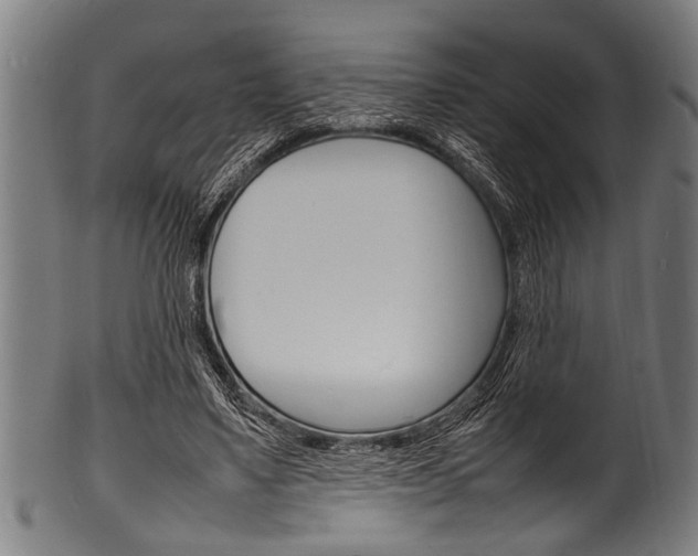 X0000100980491200806241152