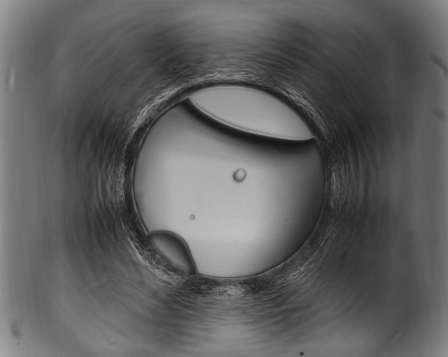 X0000100980492200806241152