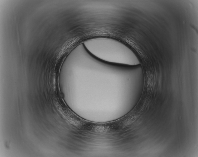 X0000100980494200806241152