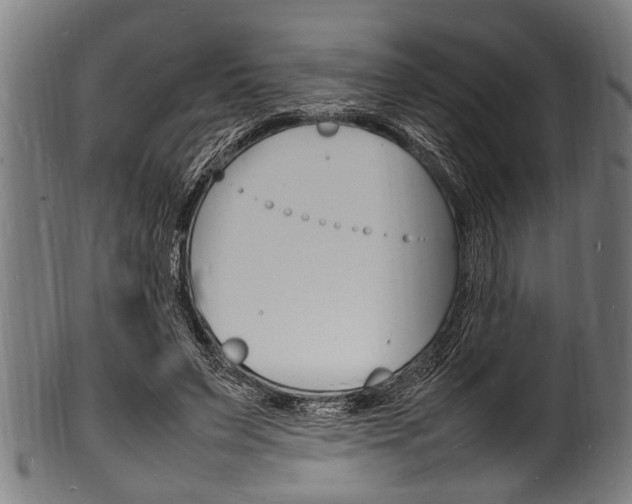 X0000100980495200806241152